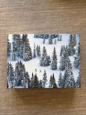 Winter Ski Scene Canvas Art - Snowy Pines